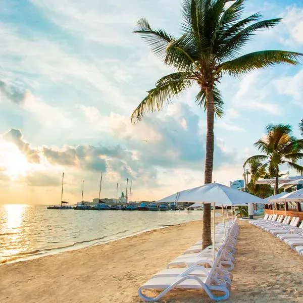 Beach loungers and palms at the resort — Temptation Cancun Resort